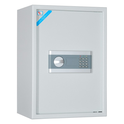 Шкаф мебельный ШМ-50 Э